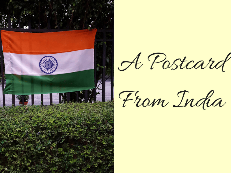 A Postcard From India Maple and Marigold