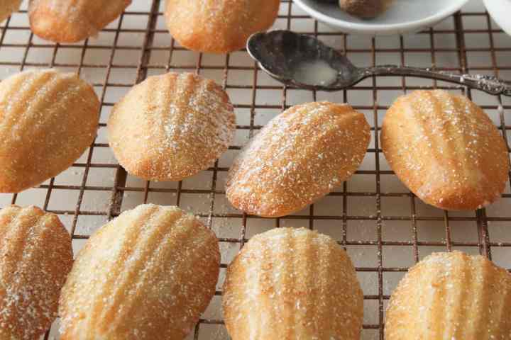 eggnog madeleines