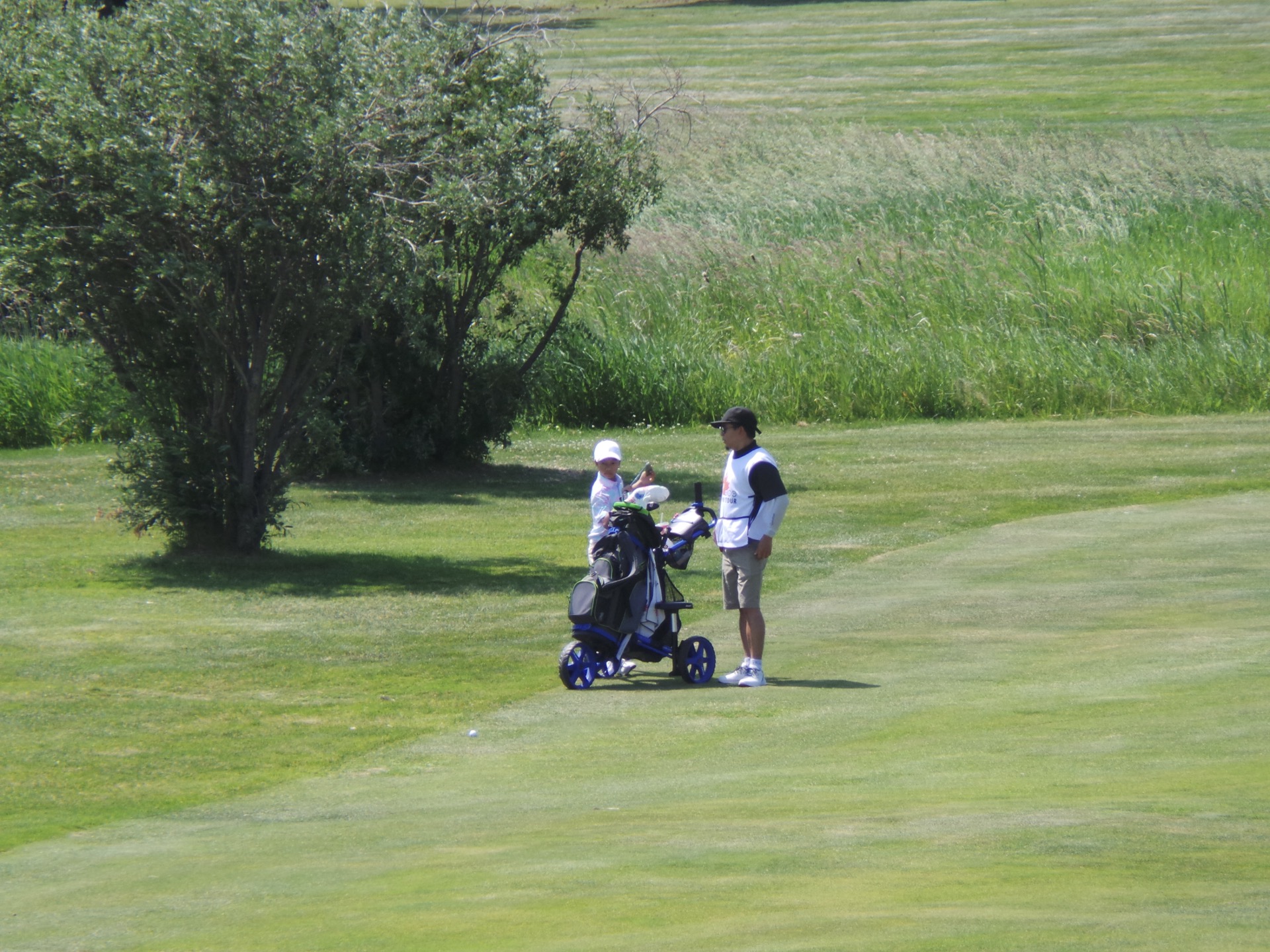 2024 MJT Mini Tour at Triple Creek Golf Club July 11, 2024 Maple