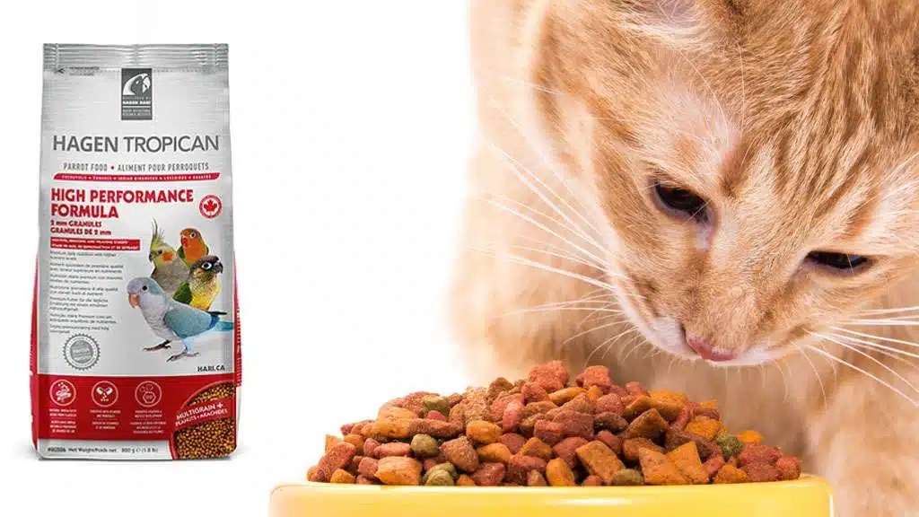 Online Pet Food and Supply Store is your best option!
