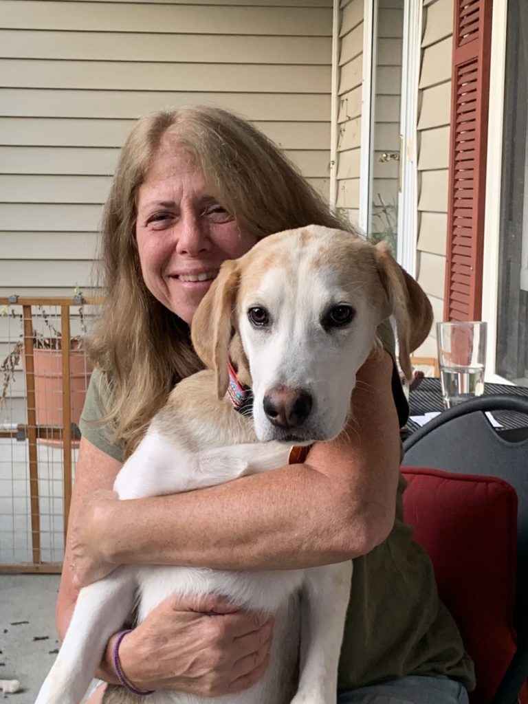 Dr. Deborah Snyder Maple Spring Veterinary Hospital Gaithersburg