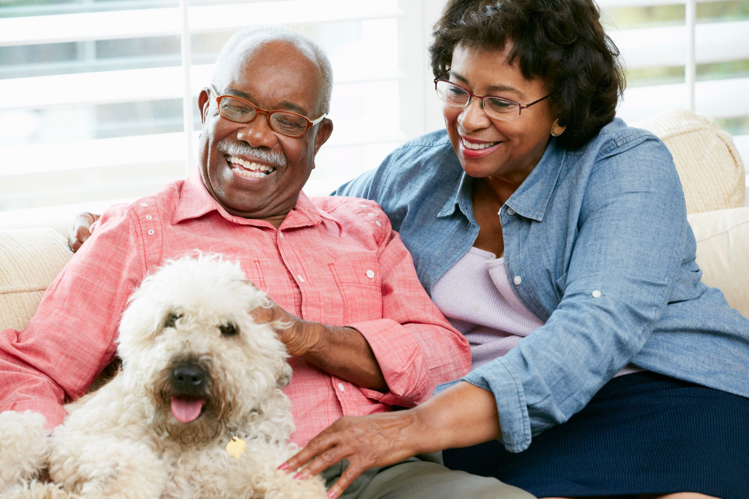 Best Pet Dog For Elderly at Carol Hasson blog