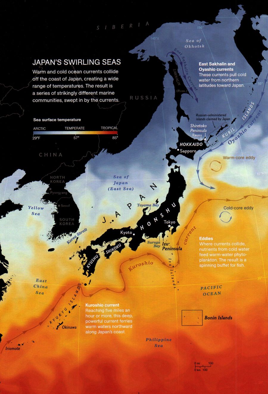 Japans Ocean Currents Map japan • mappery