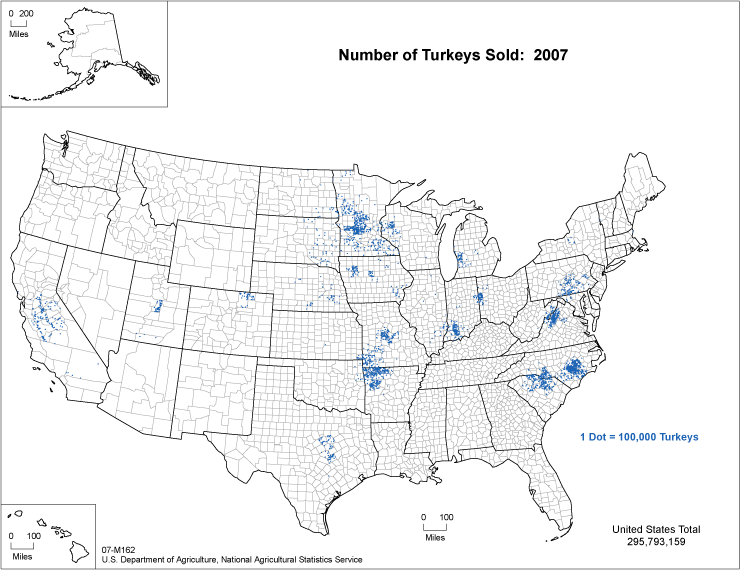 US Turkey Industry