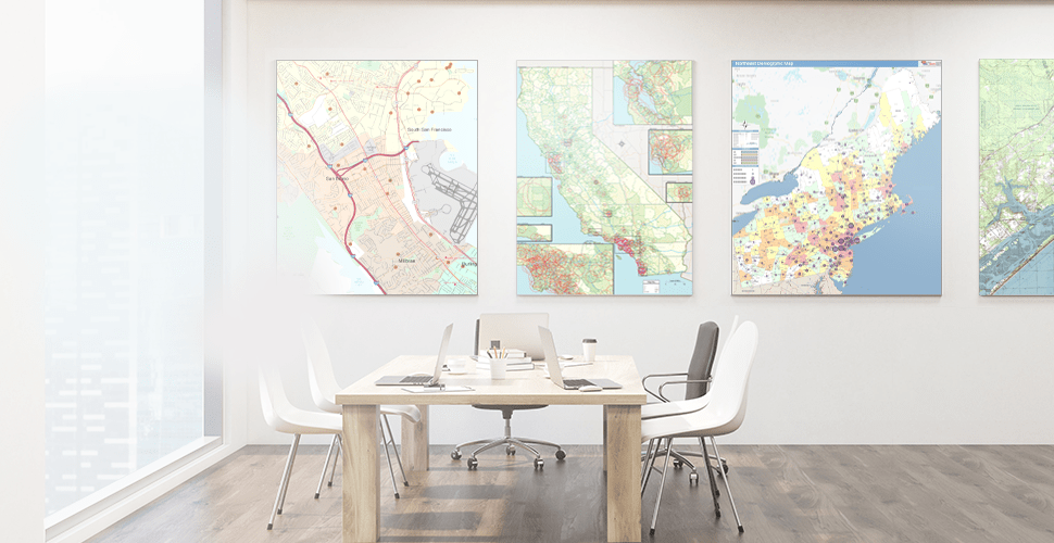 Custom Wall Maps