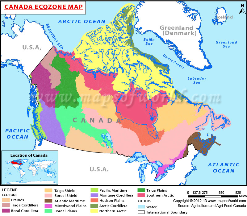 Ecozone Map Of Canada 9) Cgc1 P/1 D Ecozones - Lessons - Blendspace