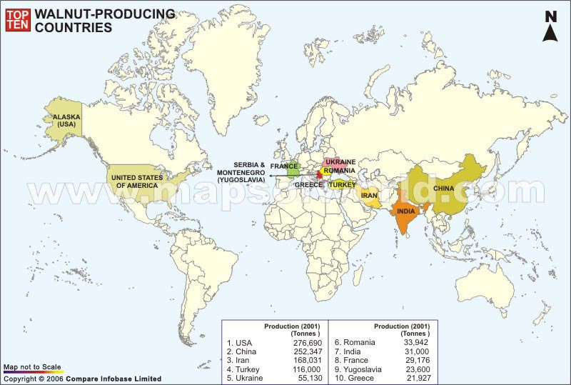Walnut Producing Countries World Top Ten