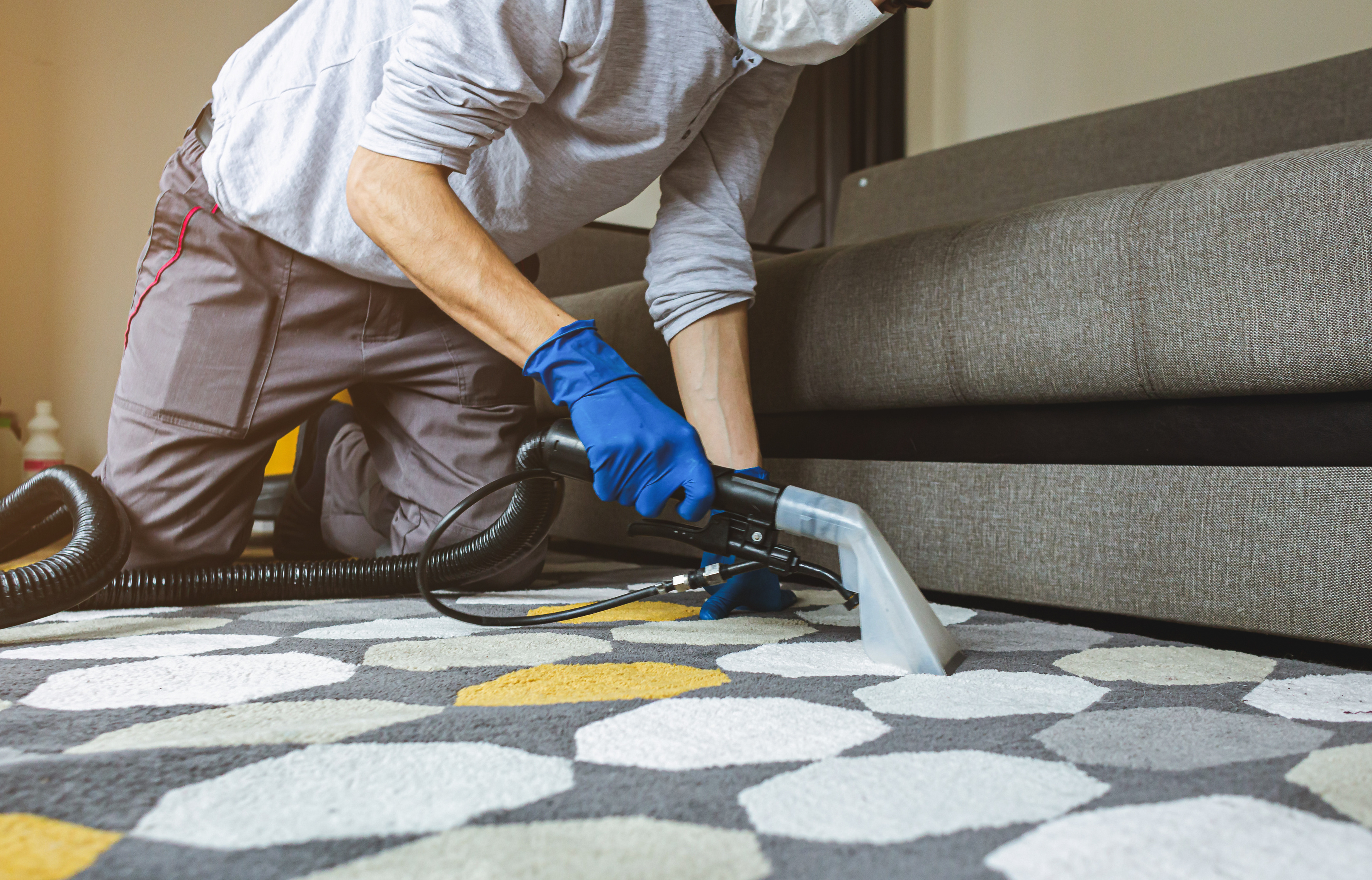 Can You Use a Carpet Cleaner on a Rug? Racine Carpet Cleaning Tips