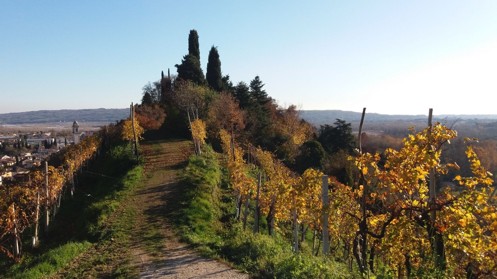 Itinerario storiconaturalistico “dal sacro al pro…secco” a Vidor