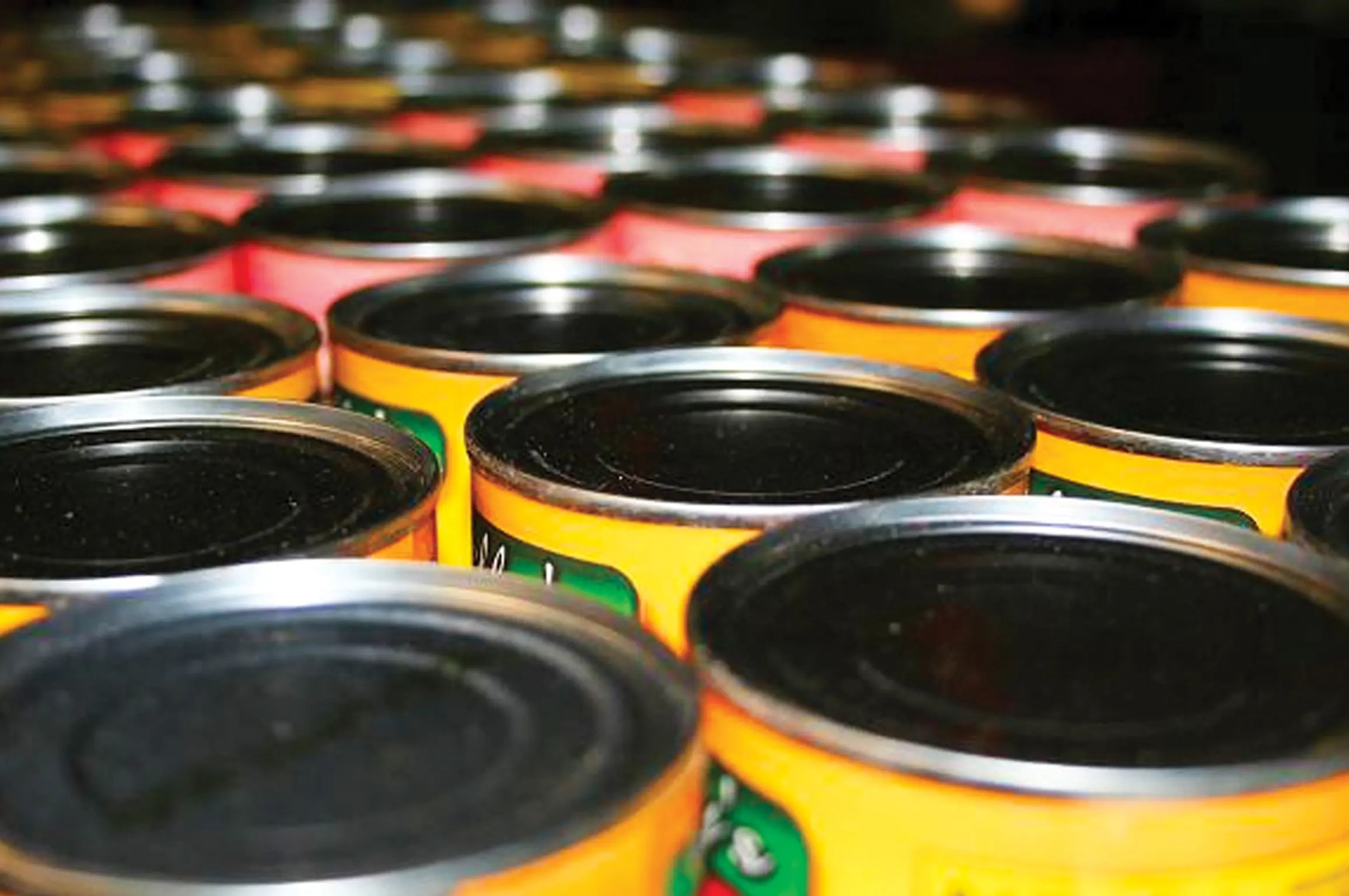 Industrial Canning Equipment Canning Related Products