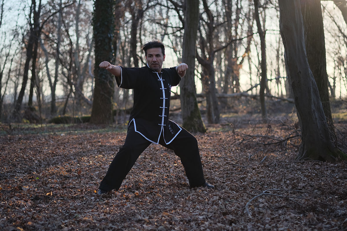 Tai Chi Chen Guida al Più Antico Stile di Taijiquan