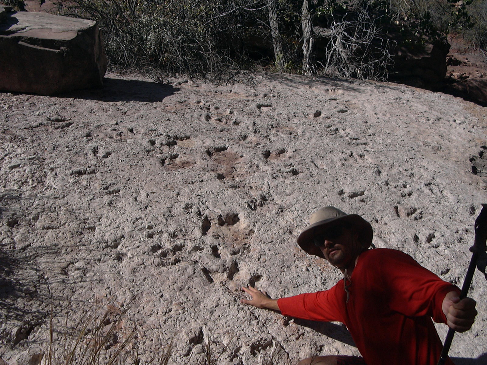 Zion Part 2 The Subway