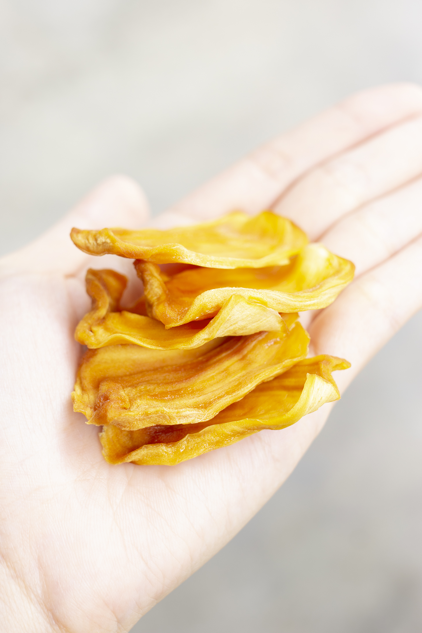 How to make Jackfruit Chips Easy Dried Jackfruit Recipe Ma Recipes