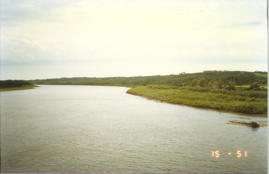 MARFLEET Family History The Story of Marwayne