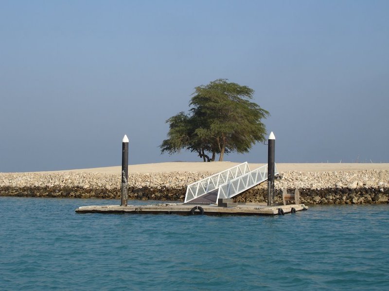 Palm Tree Island Qatar