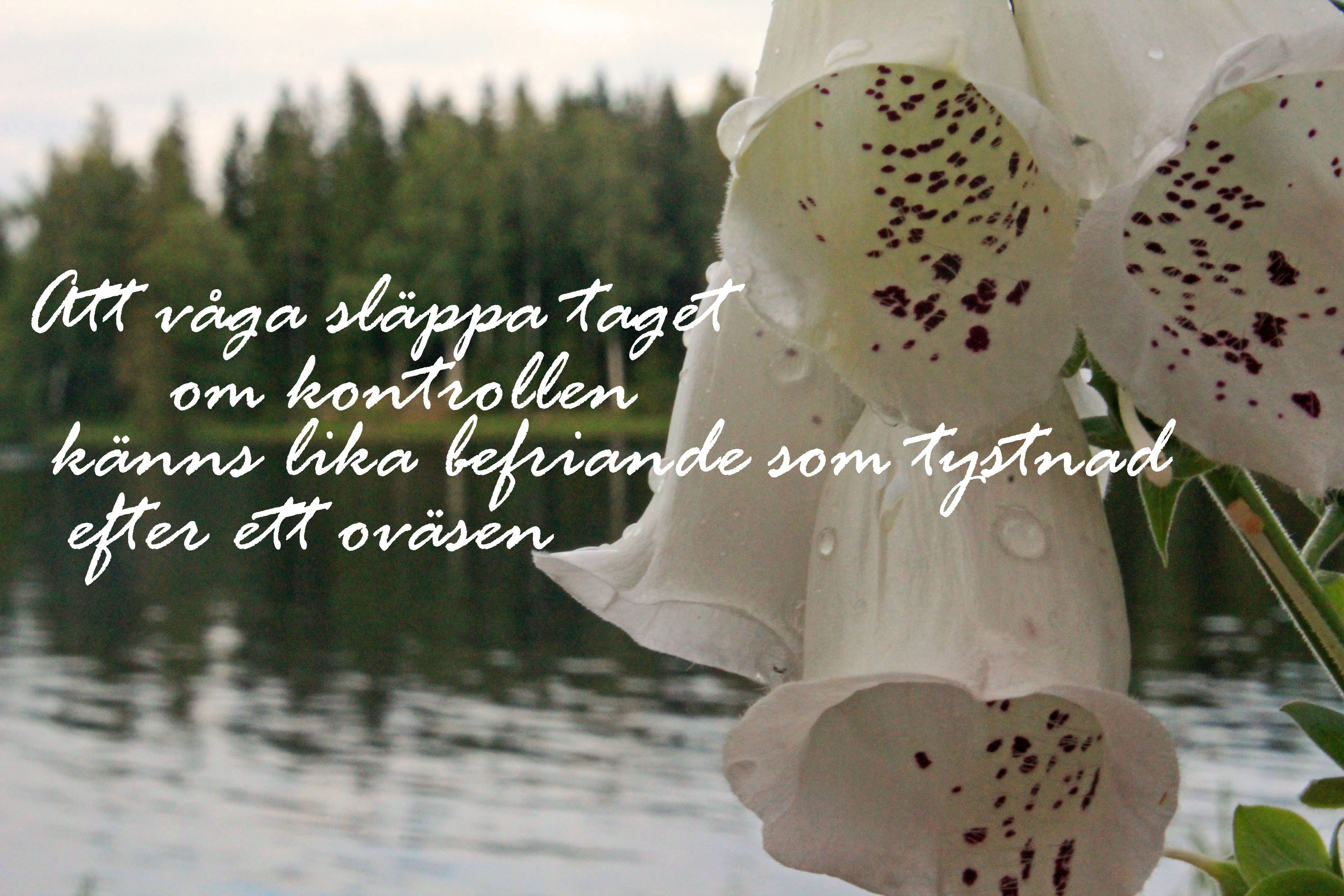 Att våga släppa kontrollen Maria Helander