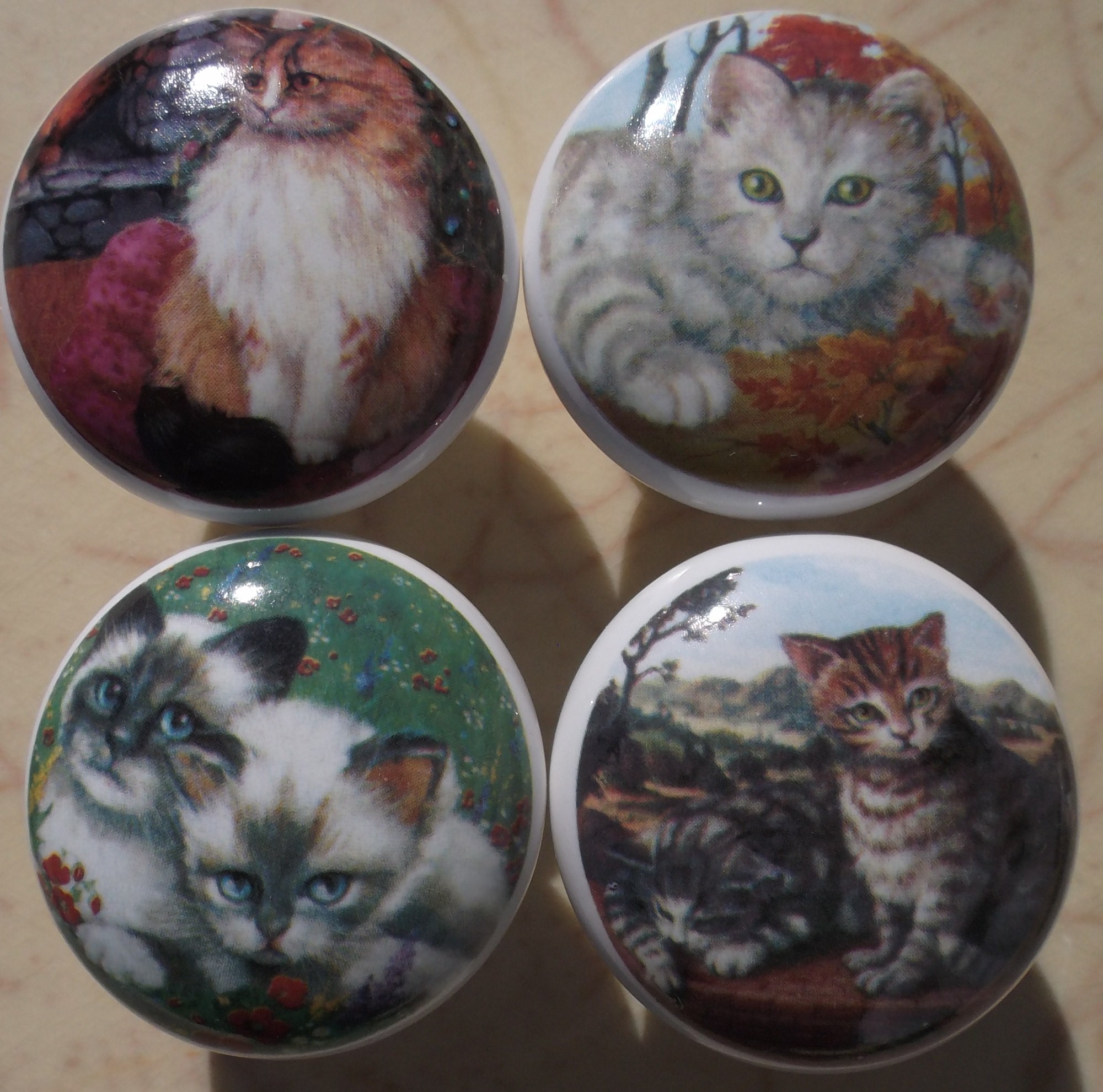 Inexpensive quality knobs cats persian siamese