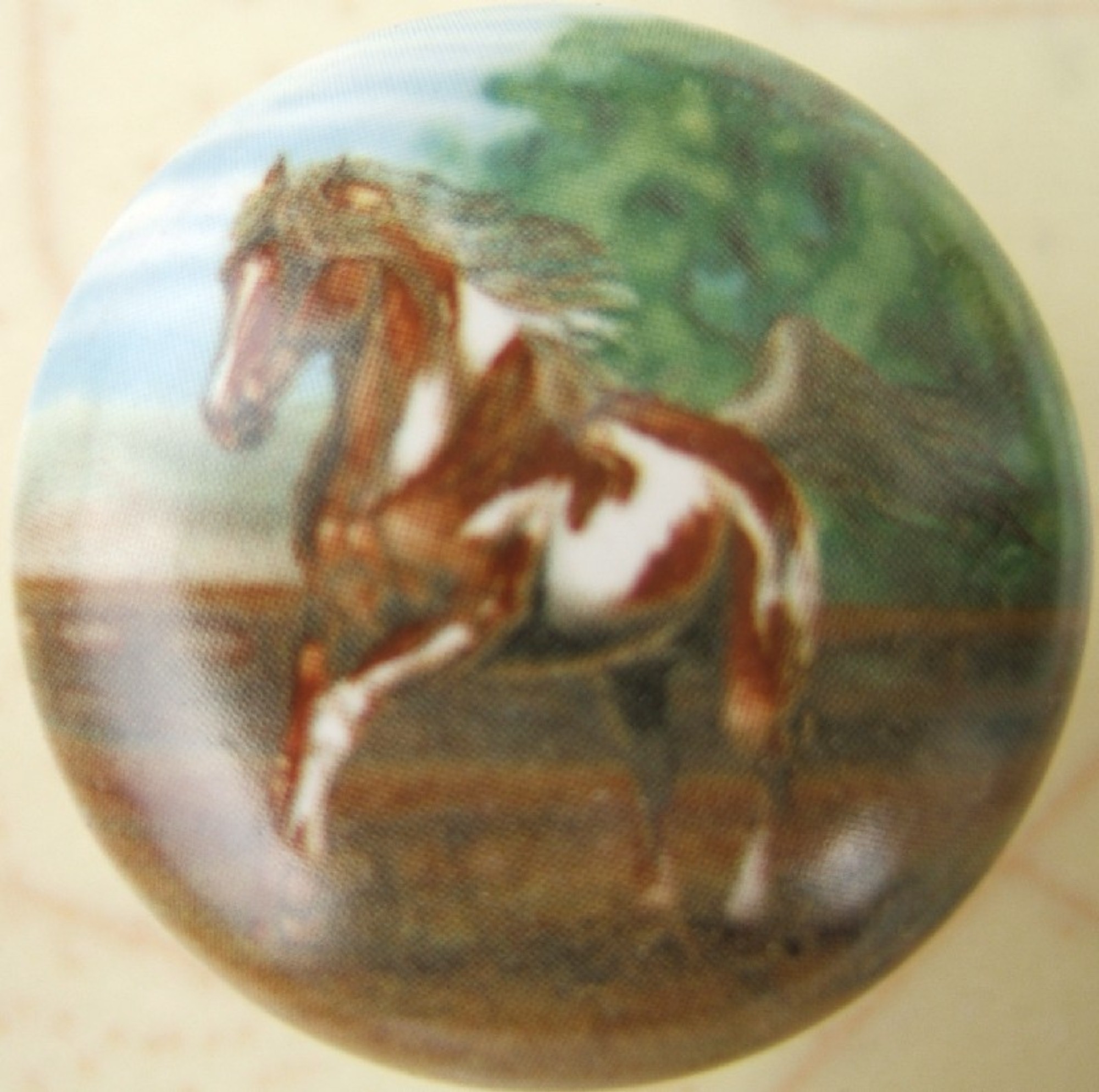Inexpensive quality Decorative knobs horses,arabian,appiloosa