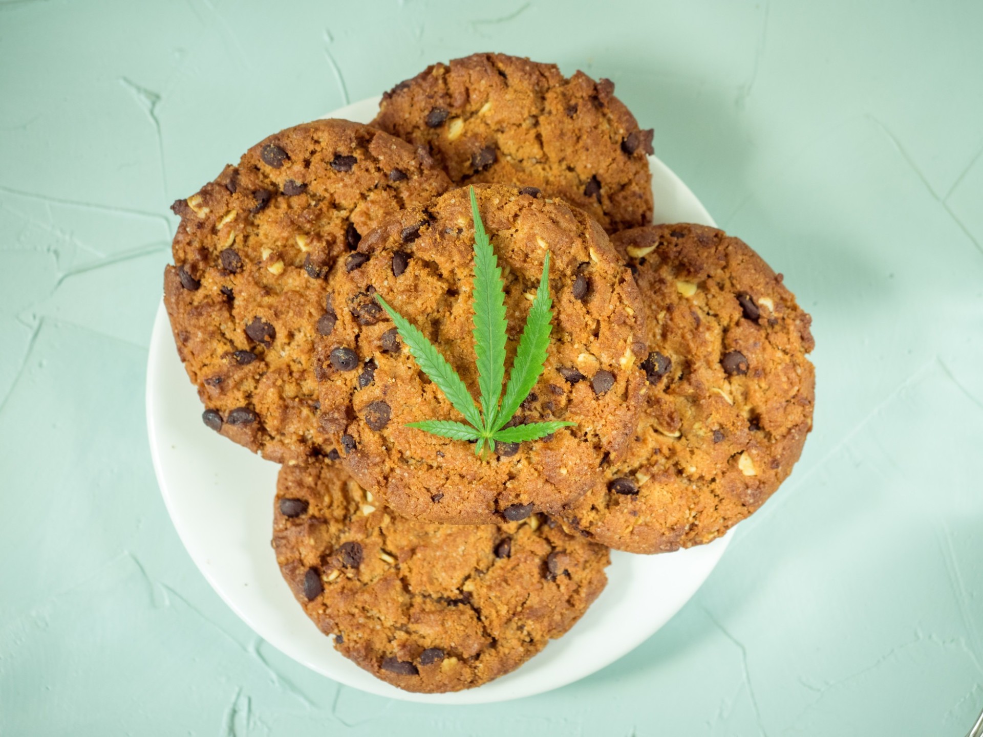 How to Make Marijuana Edibles Verts Neighborhood.