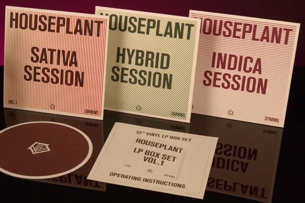 Houseplant is Seth Rogen’s New Cannabis Company Marijuana Doctors