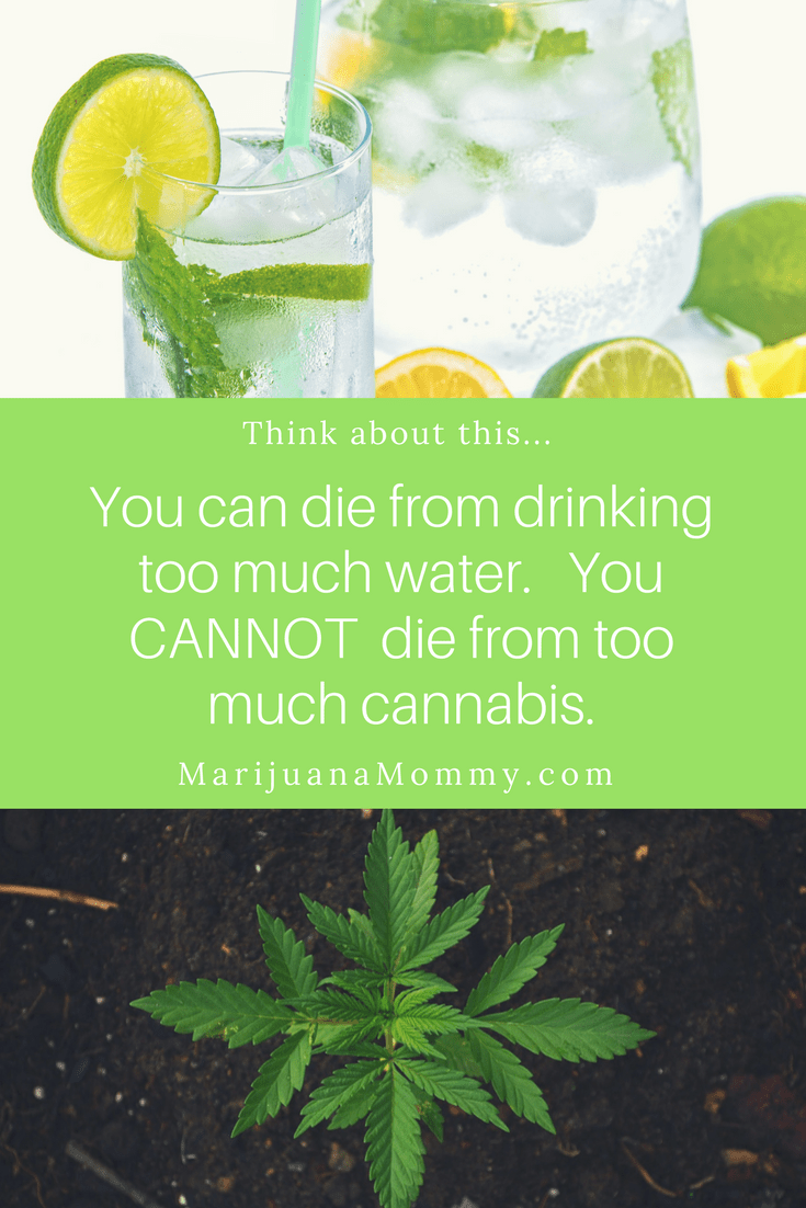 Is Marijuana Harmful? 5 Ordinary Things More Dangerous Than Weed