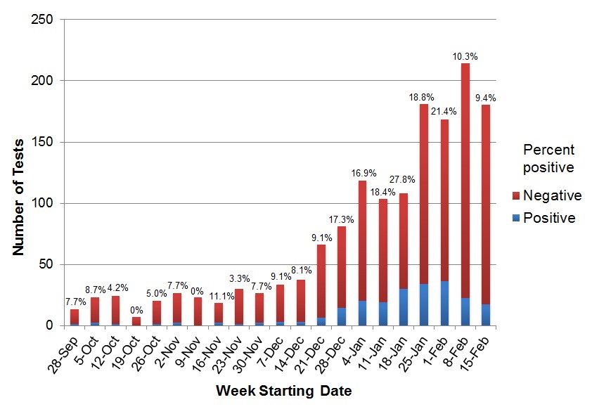 Influenza Surveillance Update, Two weeks ending February