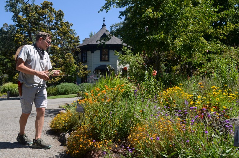 Marin Art and Garden Center celebrates 75th anniversary