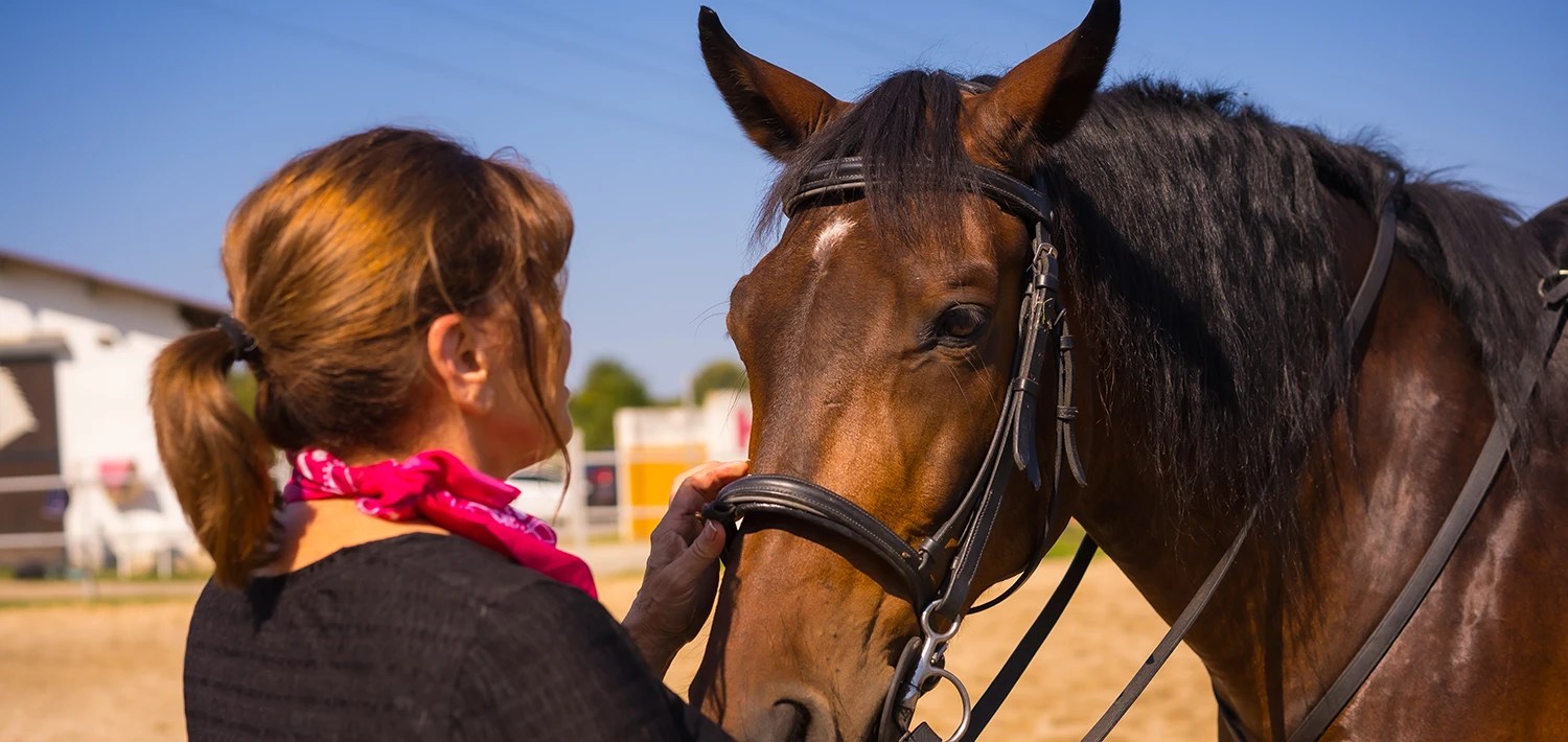 Equine Therapy for Abuse & Addiction Recovery Orange County