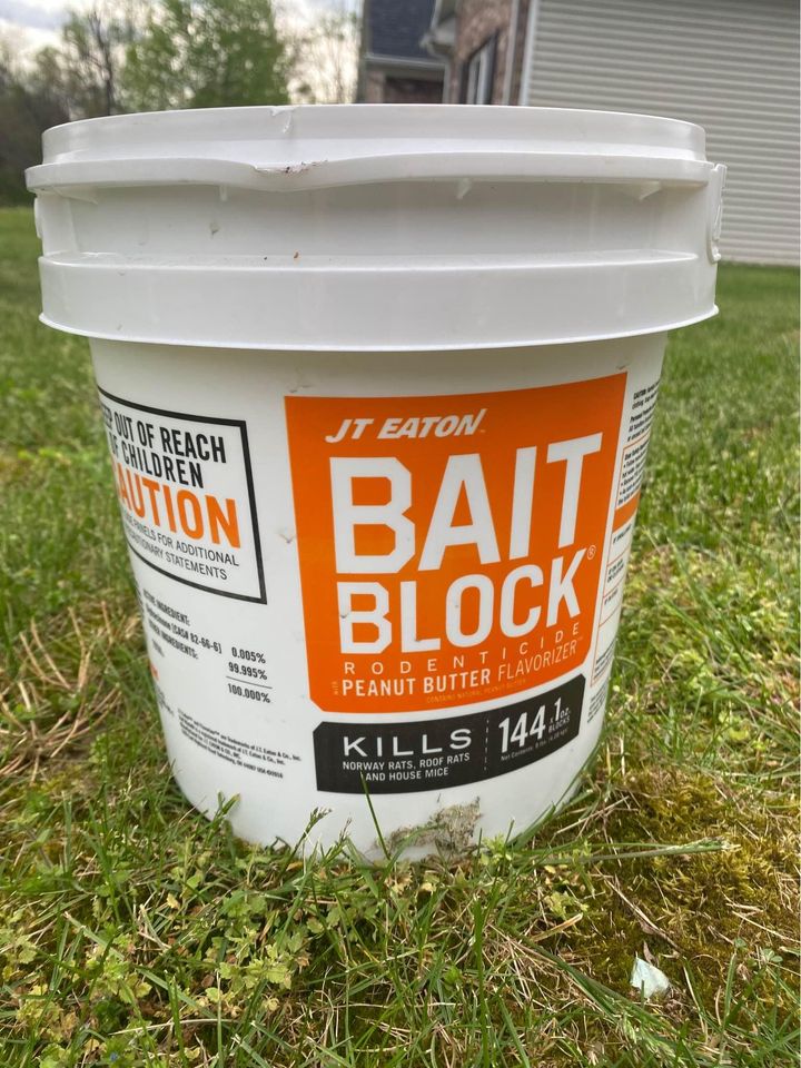 What food & poison kills rats instantly? Maritime Herald