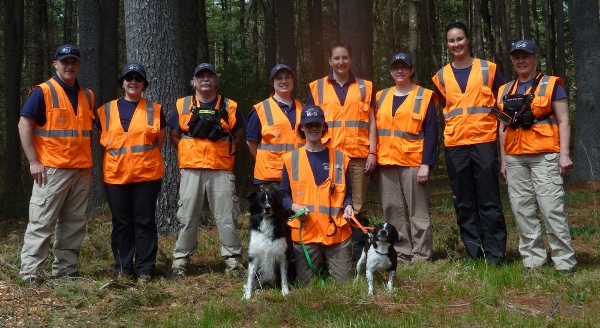 Team Members
