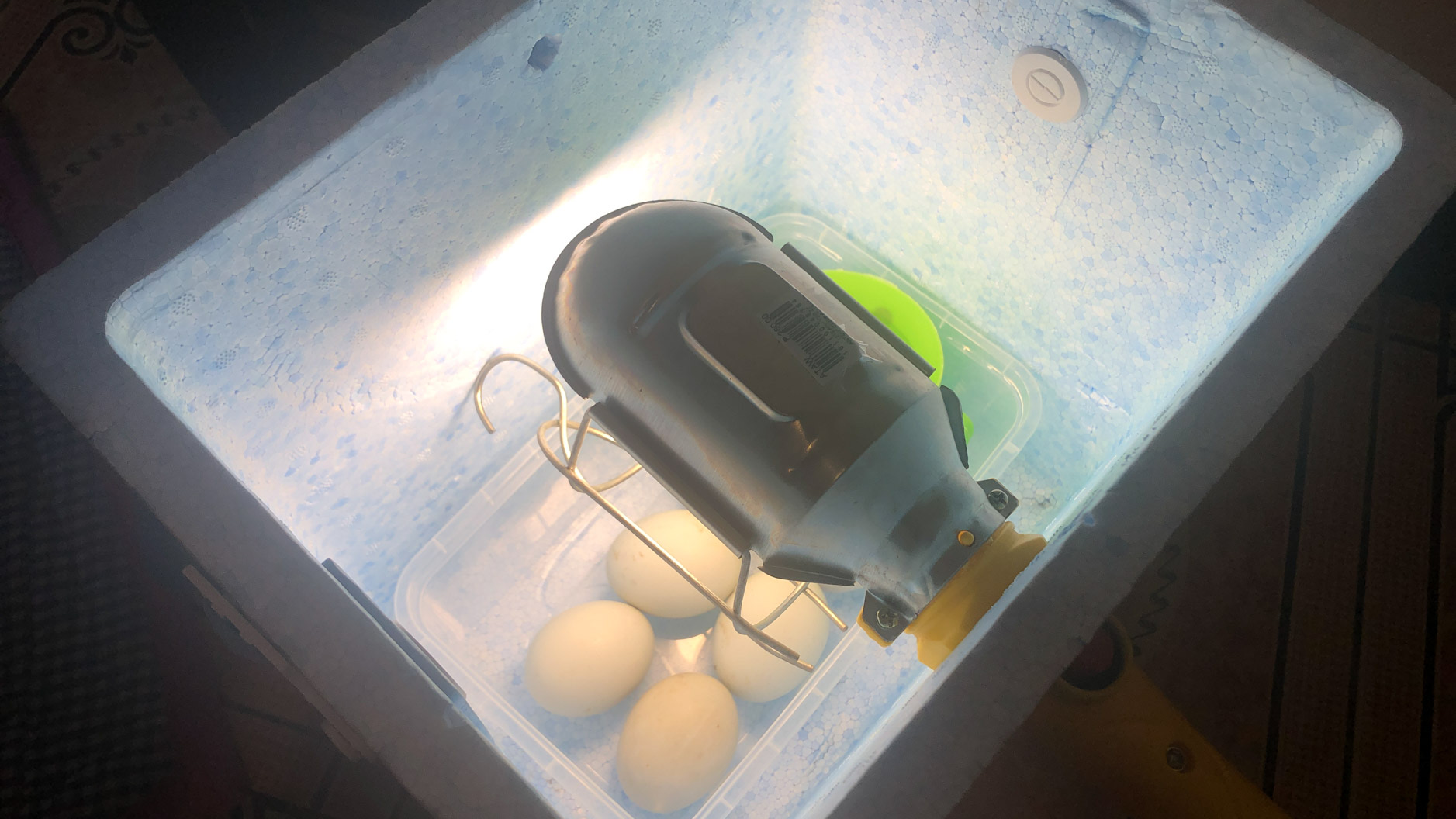 How to Make a Homemade Duck Egg Incubator for 15 USD Optional