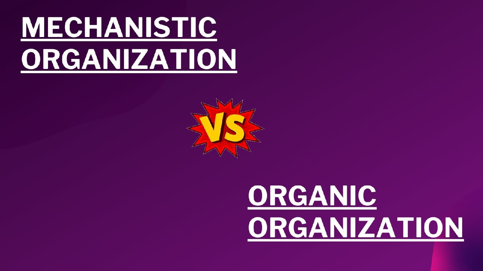 Mechanistic vs Organic Organization | Marketing91