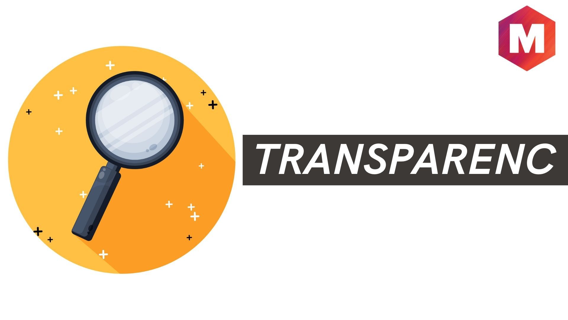 Transparency Overview, Importance and Examples Marketing91