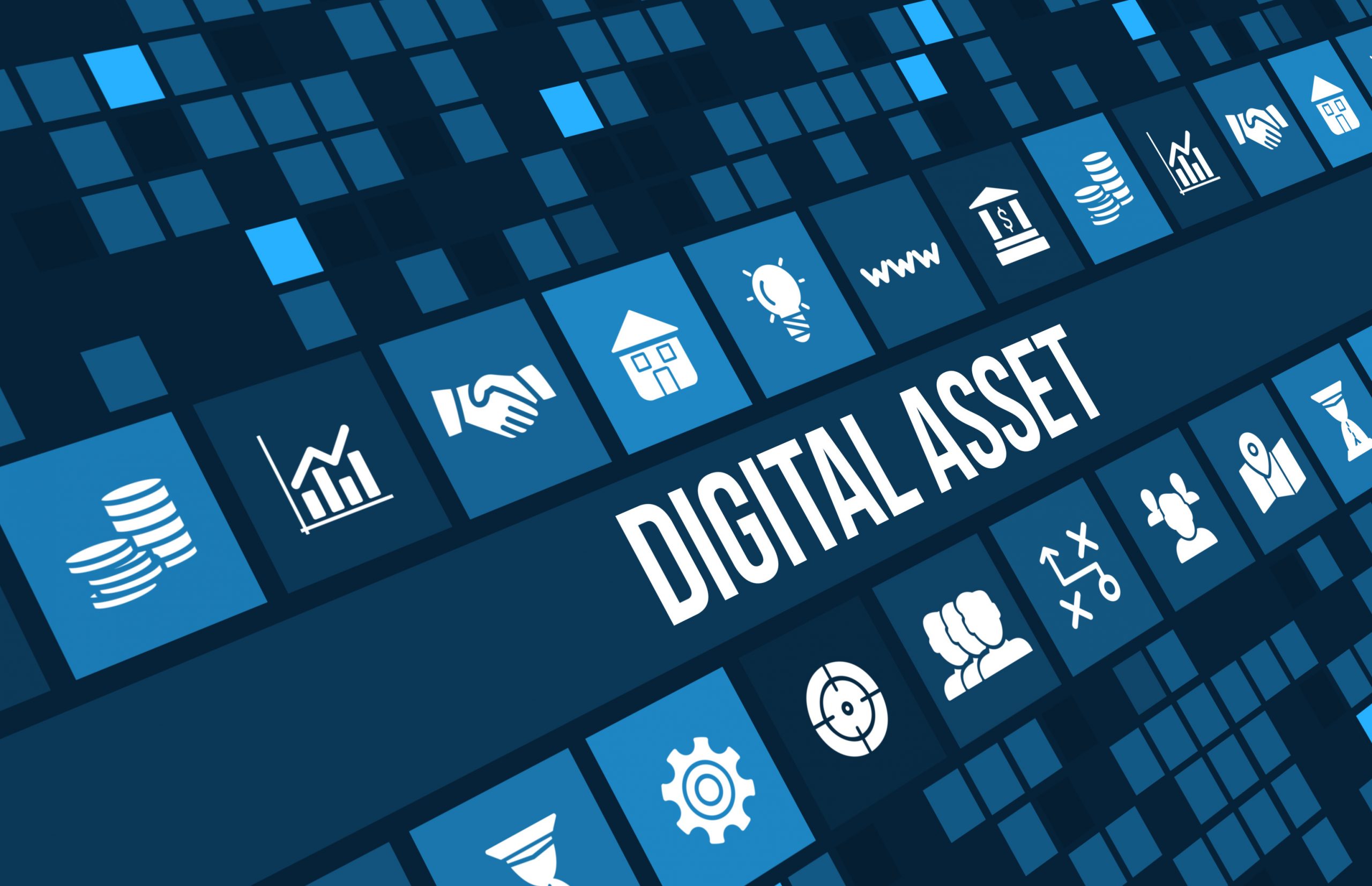 5 Reasons You Need a Digital Asset Manager Lariat Marketing Hub
