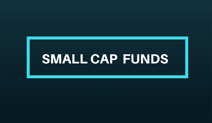 SmallCap Fund Manager Showing Them How It’s Done