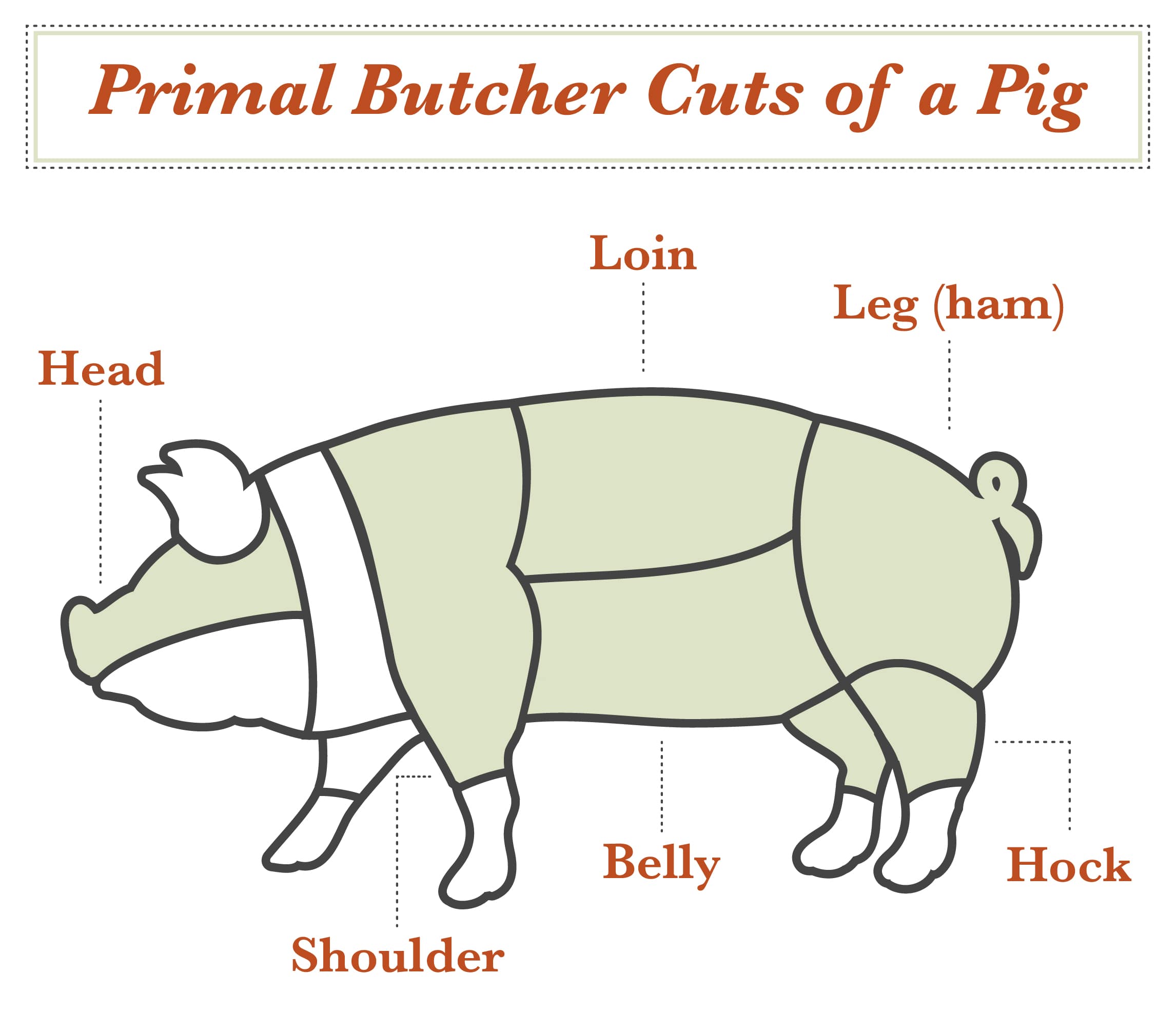 List 32+ Photos pork cuts diagram parts of a pig Latest