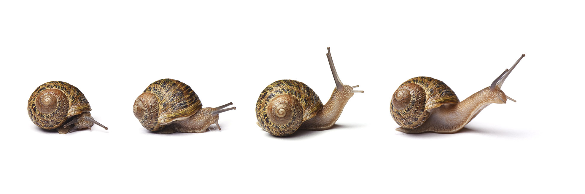 Capture an Enlightened Alpha photographer Mark Galer