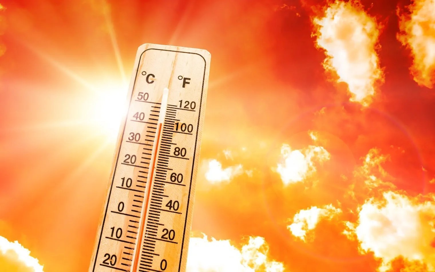 How to keep your house cool during a heatwave Mark King Properties