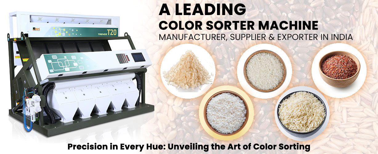 Color Sorter Machine, Color Sorting Machine, Grain Sorting Machine