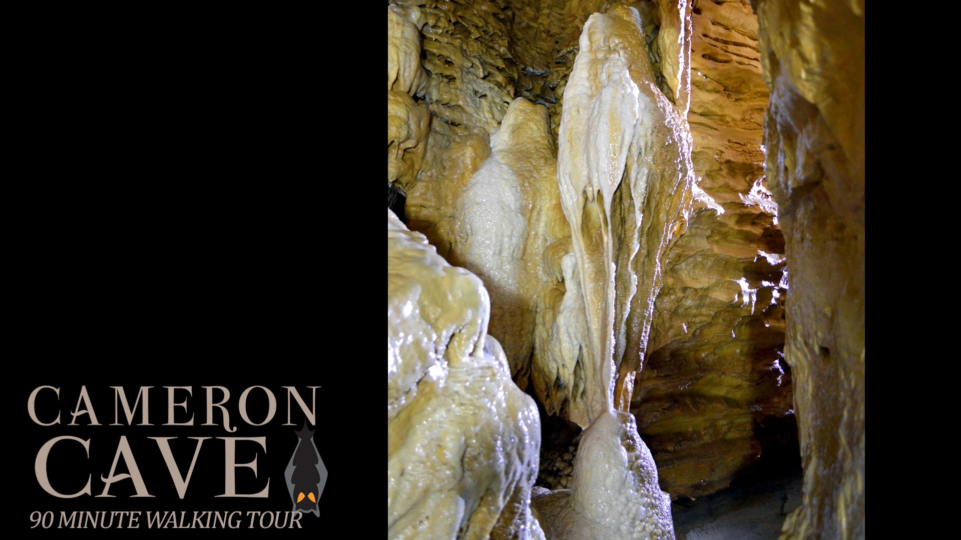 Cameron Cave Discovery Tour