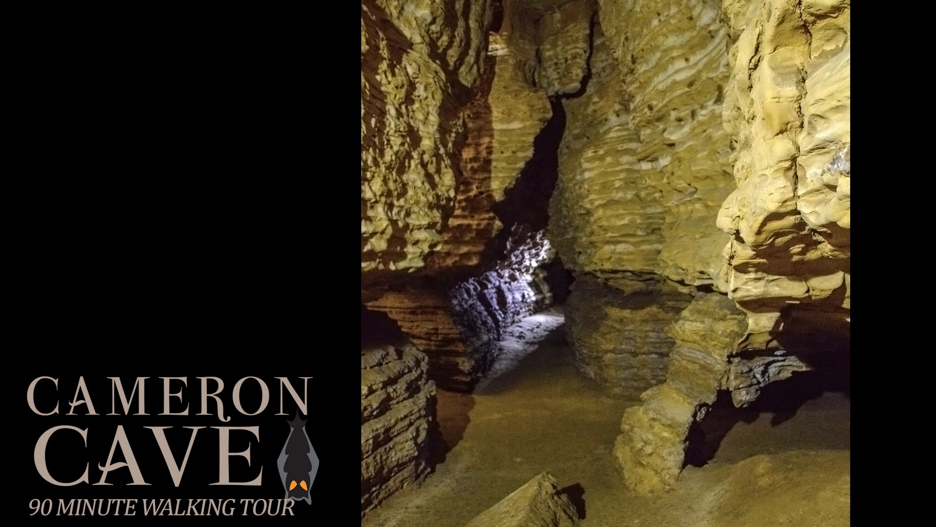 Cameron Cave Discovery Tour