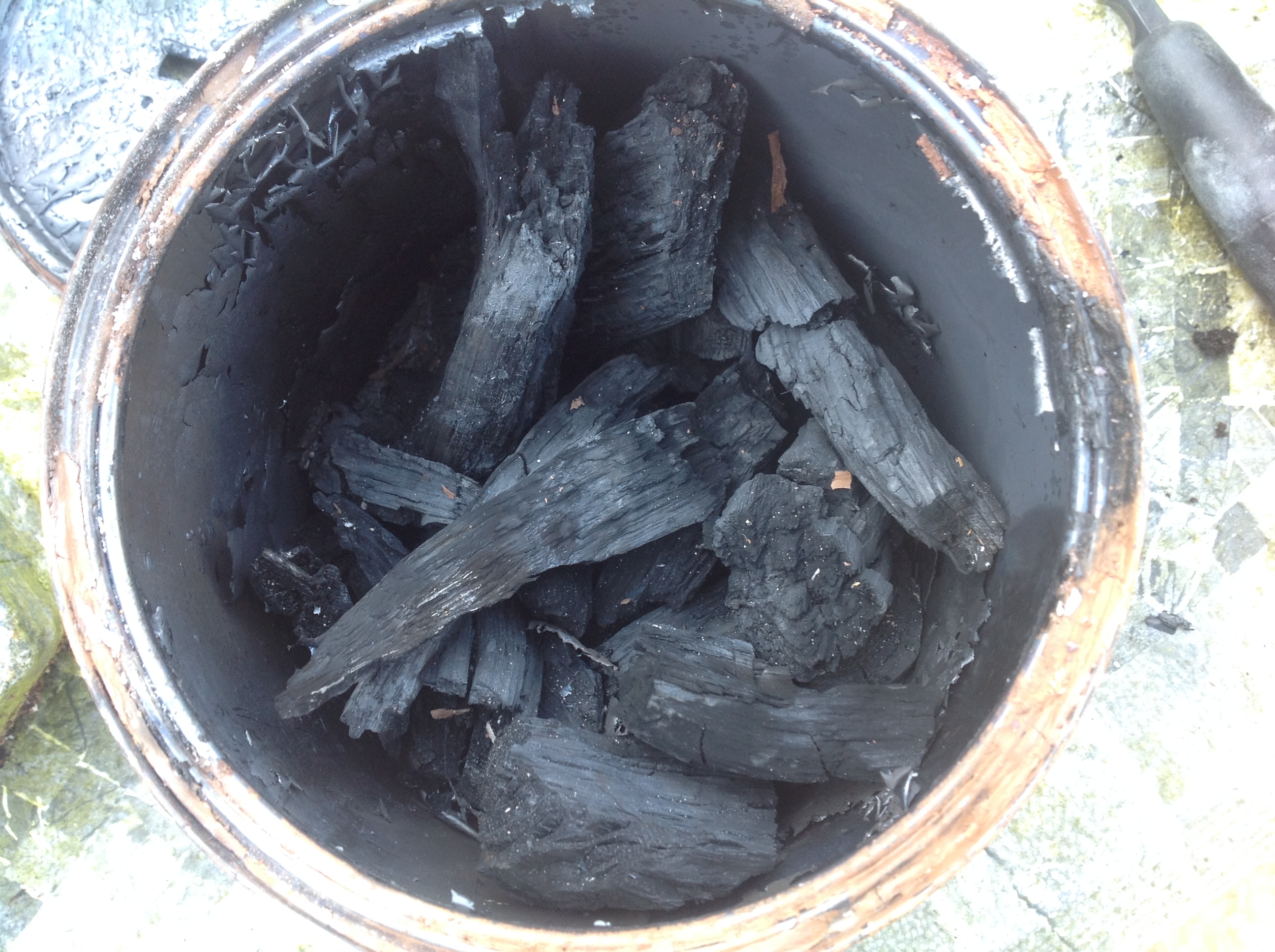 Charcoal Up from the ashes