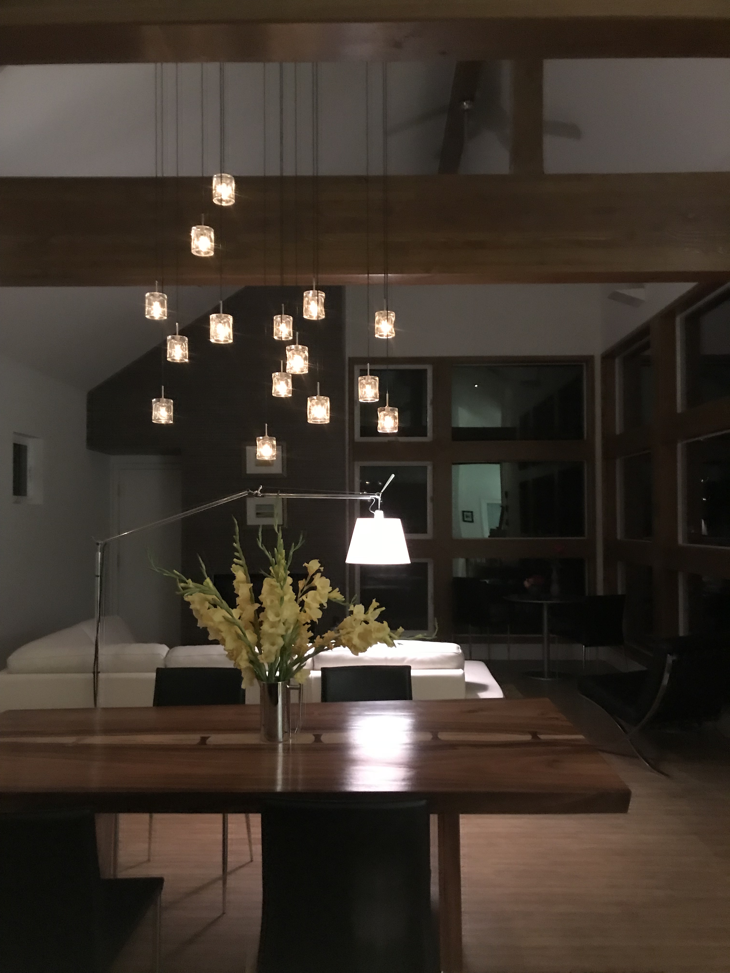 Silvertip Lane For Sale