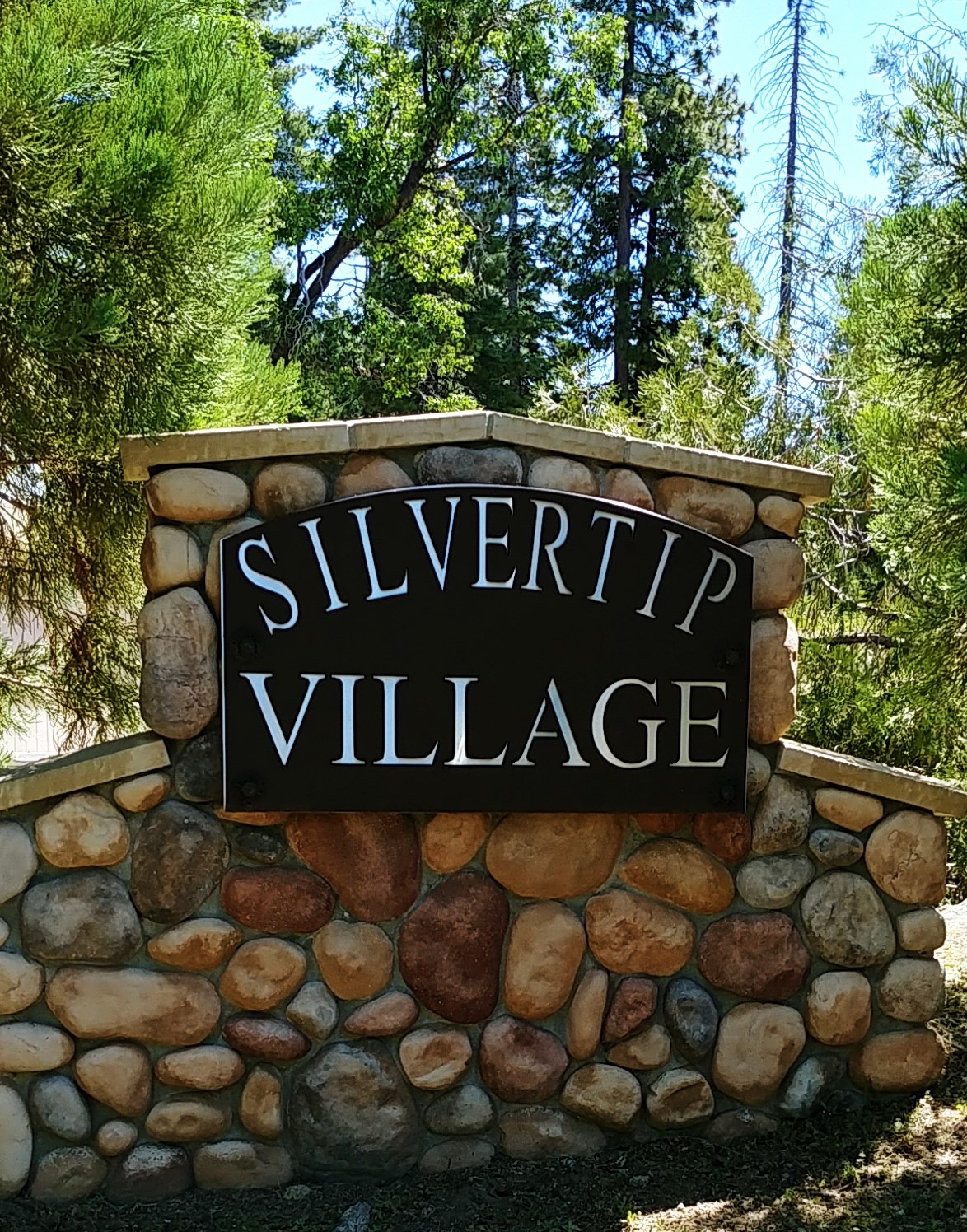 Silvertip Lane For Sale