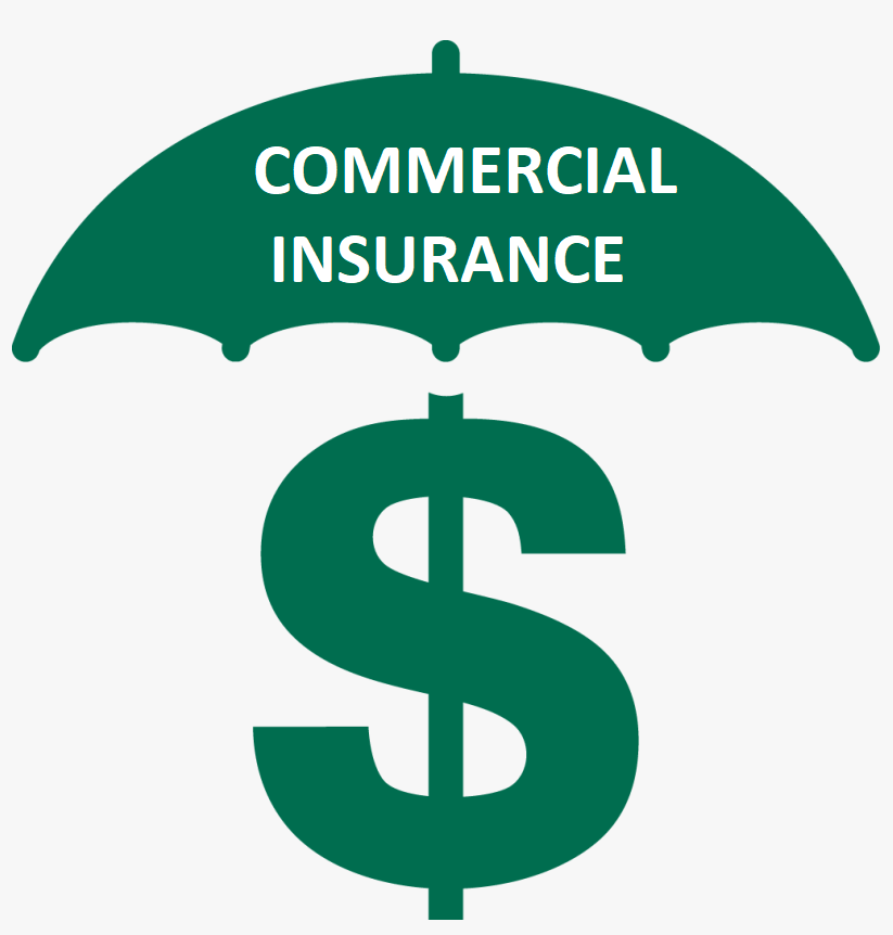 Marlin Insurance Agency Protecting Individual Families and Businesses
