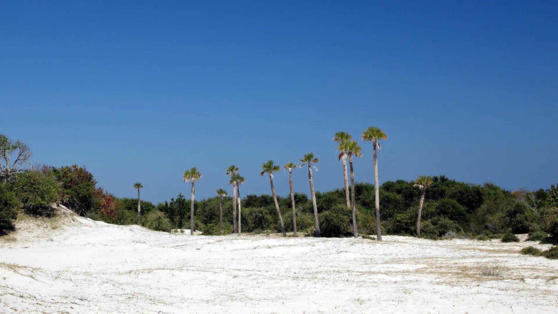 New Homes For Sale In St. Marys Maronda Homes