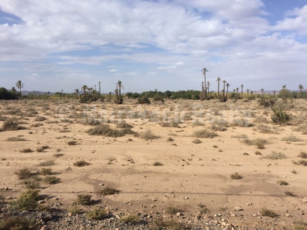 Large titled plot for sale in the palm grove of Marrakesh Marrakech