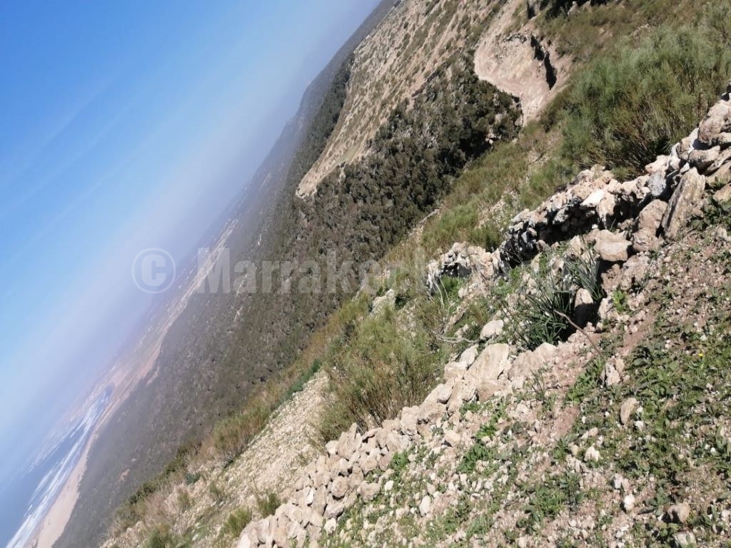 Unique 11 hectares building land north of Essaouira Marrakech Realty