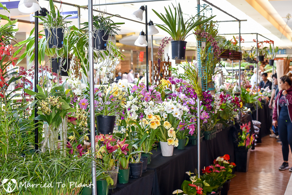 Southern California Spring Garden Show At Home in The Garden