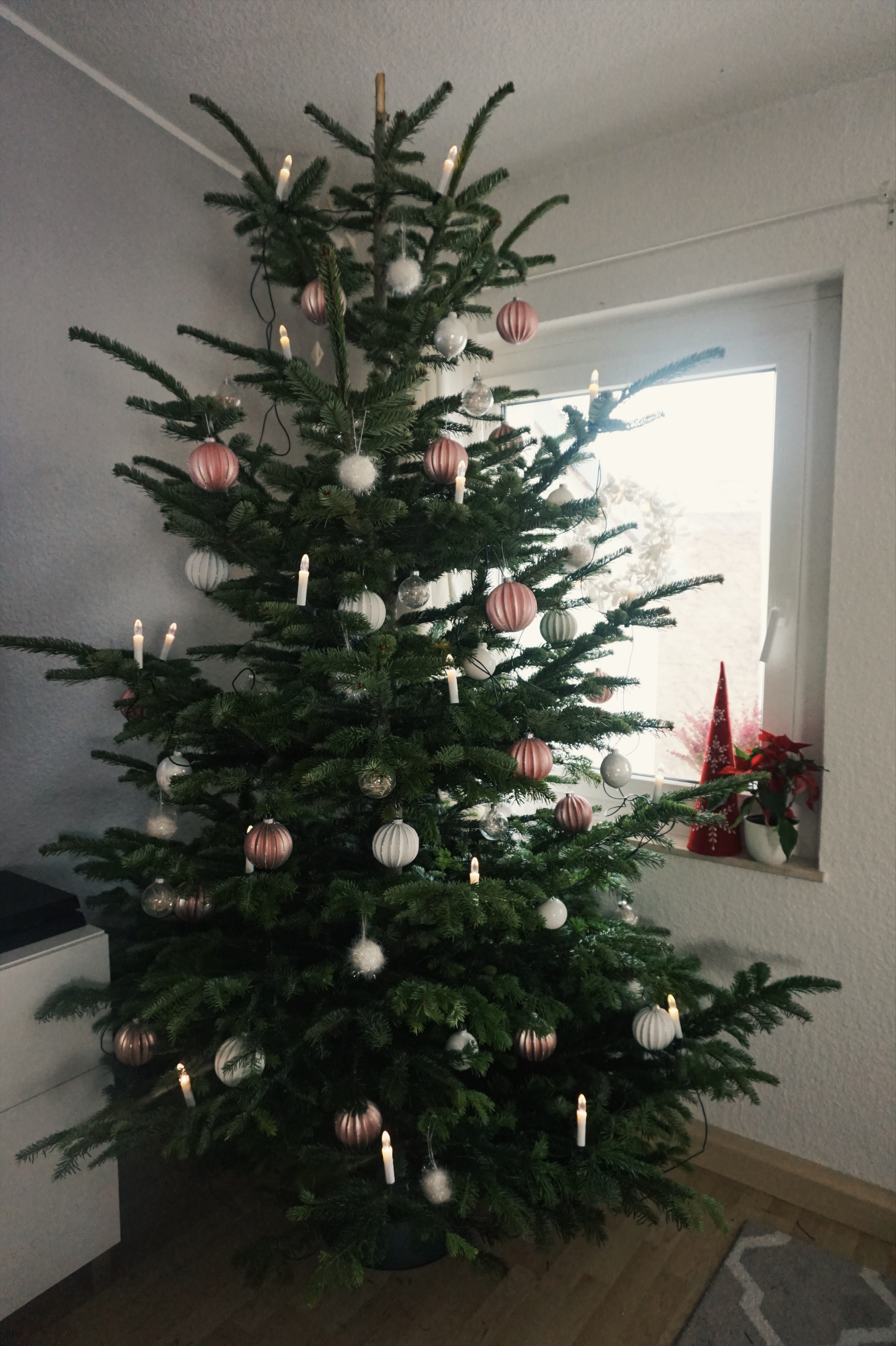 Oh Tannenbaum + ApfelBirnenPunschRezept Marry Kotter
